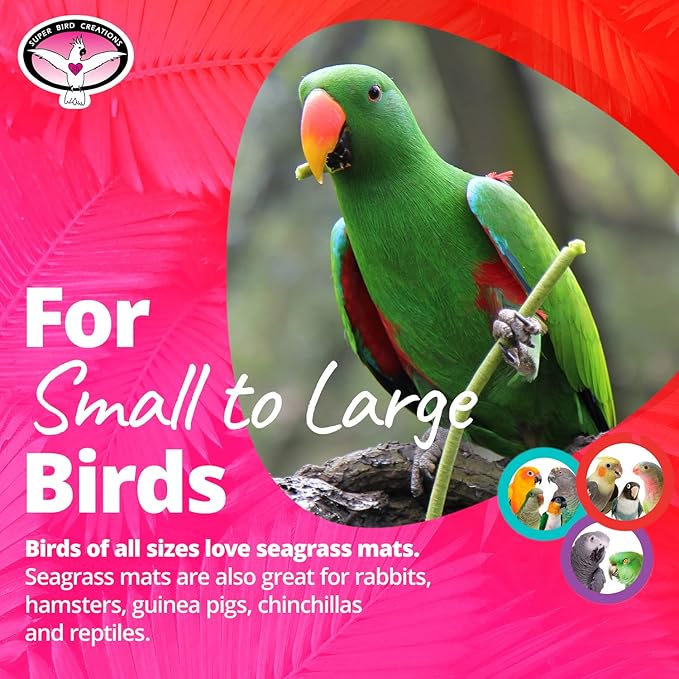 Super Bird Creations SB50005 Seagrass Mat for Cage Decor, Pet Enrichment and Boredom Relief - Versatile Toy-Making Base- Ideal for Parrots - Small to Large Birds & Reptiles - 12"x14" (1 Pack)