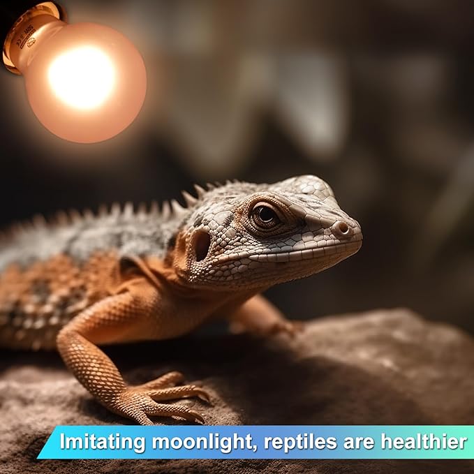 Reptile Heat Lamp 2 Pack 50W, Daylight Heat Bulb for Reptiles & Amphibians, Reptile Heat Light for Bearded Dragon, Lizard, Turtle