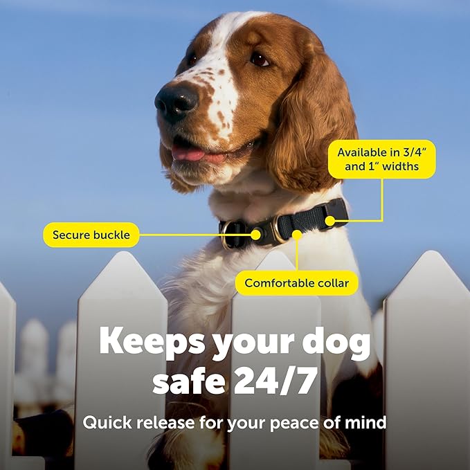PetSafe KeepSafe Collar for Dogs - Protects Against Collar Accidents - Long Lasting - Durable - Adjustable - Breakaway - Outdoor-Safe - Medium - 3/4 In. Wide - Black