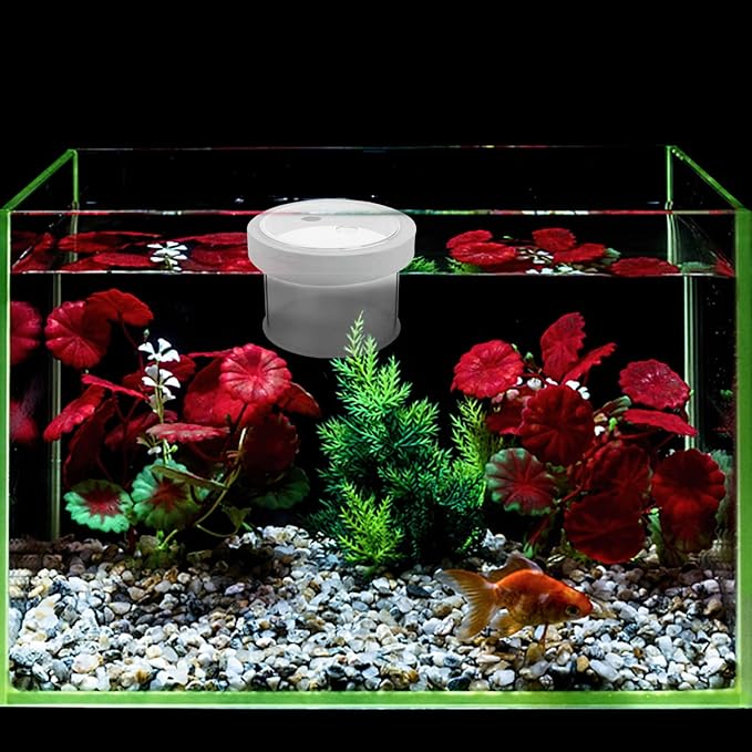 Breeder Box for Fish Tank : Acrylic Floating Aquarium Breeding Box Transparent Fish Tank Hatchery Incubator for Clownfish Guppy Shrimp, 4.72X4.72X3.14in