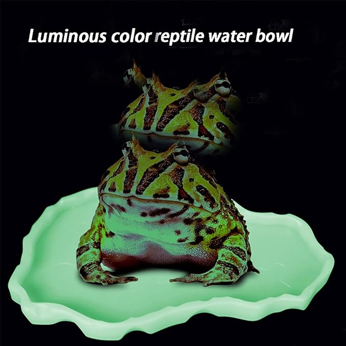 Luminous Reptile Food Bowl,Large Water Dish,Terrarium Bowls, Tortoise Bowl (Black)