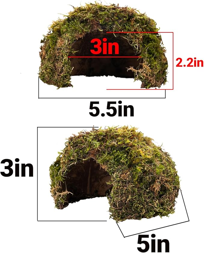 Reptile Hides and Caves – Leopard Gecko Tank Accessories, Natural Dome Reptile Cave & Shelter, Gecko Tank Accessories & Hermit Crab Shelter, 5.5×6.5×3in