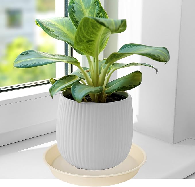 6 Pack of 10 inch Plant Saucer Blue, Heavy Duty Plastic Plant Saucer 10 inch Round, Flower Plant Saucers for Indoors, Plant Trays for Planter 8"/9"/10" (10", Beige)