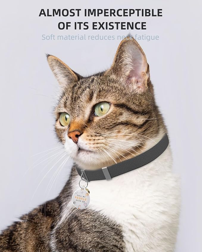 Cat Collar with Bell, Stretch Elastic Quick Release, Non Breakaway Lightweight Kitten Collar for Girl Boy Cats, Pet Supplies,Gifts,Accessories, Black
