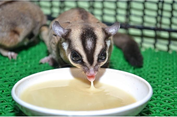 Instant-HPW - All Natural Vitamin Enriched Sugar Glider Food - Healthy & Nutritious - High Protein Wombaroo - Staple Diet (1 lb)