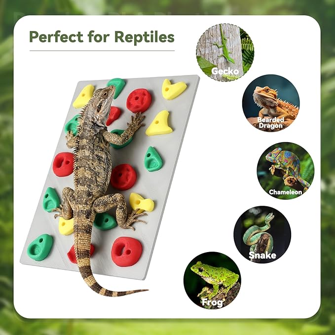 Climbing Wall for Reptiles, Reptile Tank Terrarium Accessories Habitat Decor for Bearded Dragons, Leopard Geckos, Lizards, Snakes, Tree Frogs, Amphibian Paludariums Enclosure Supplies