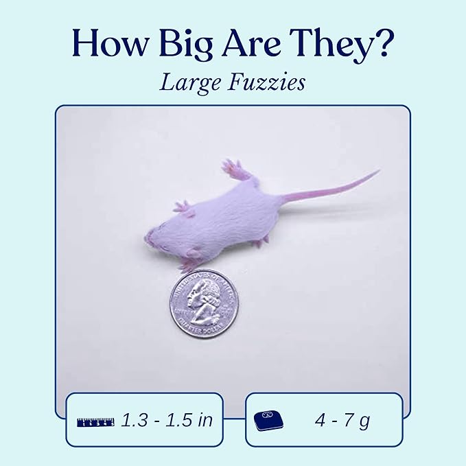 MiceDirect EST. 2003 150 Frozen Mice Fuzzie Feeders Snake Food for Juvenile Hognose Corn milks (1.25-1.5 in) (600 Grams Min)