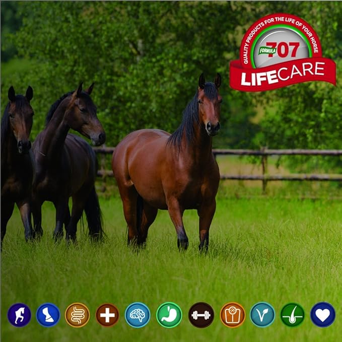 Formula 707 Daily Essentials Equine Supplement, 25lb Bucket – Complete Vitamins and Minerals for Superior Health and Condition in Horses