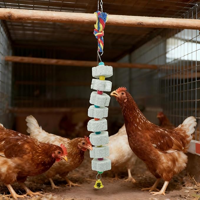 2 Pack Extra Long Chicken Chewing Toys with Beads and Bell, 27" Calcium Beak Grinding Stone for Cage, Bird Toys for Parrots, Budgies, Hamsters, Rabbits