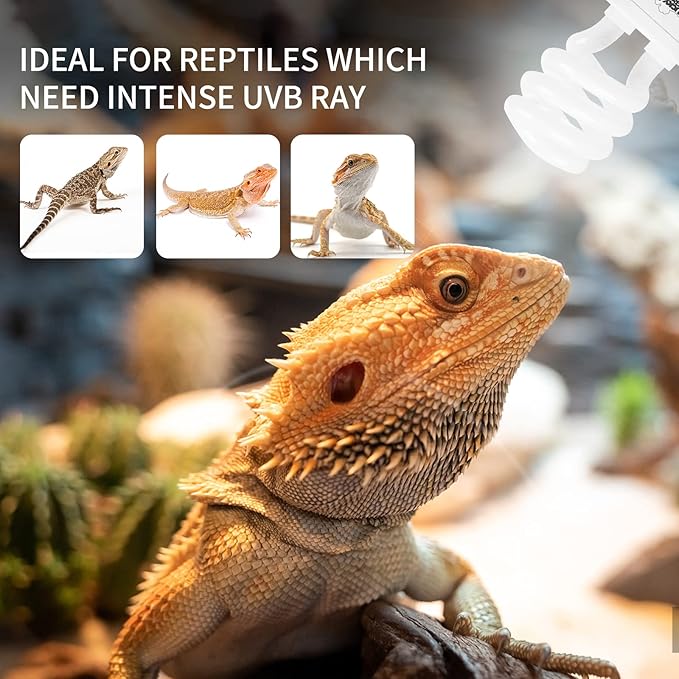 LUCKY HERP 13W UVB 15.0 Intense UVA UVB Compact Flouorescent Lamp Desert Terrarium Light Bulb for Reptile and Amphibian