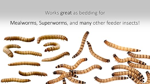 Wheat Bran Bedding & Gutload for Mealworms, Superworms, and Feeder Insects – 5 lb (80 oz) by Five-Star Feeders