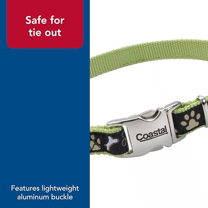 Coastal Pet - Ribbon - Adjustable Dog Collar with Metal Buckle, Yellow Buttercup, 5/8" x 12"-18"