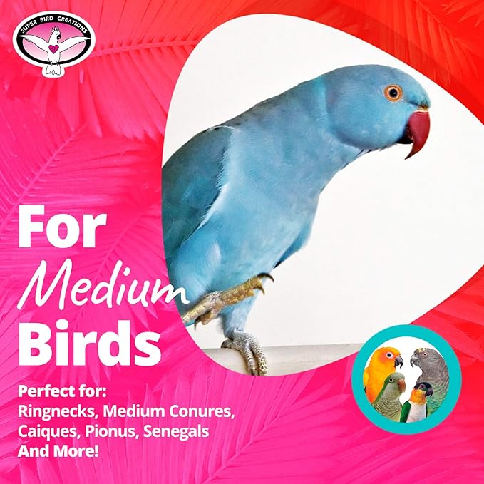 Super Bird Creations SB669 Wicker Foraging Basket Bird Toy for Parrots Cockatiels Ringnecks Medium Conures Quakers,Caiques Pionus - Crunchy Multi-Colored Textures - Medium Bird Size, 10” x 4” x 5”