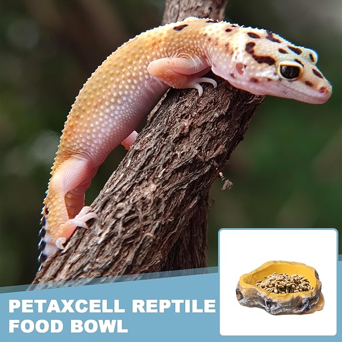Reptile Food Bowl, Reptile Feeding Dish Corner Bowl Water Resin Rock Worm Feeder Dish S (5 in, Yellow), Intended for Lizards/o/Scaled Pet/Leopard o/Spiders