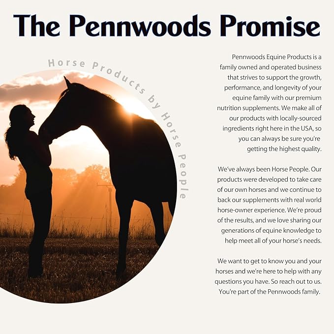 Pennwoods Equine Products Joint + GI Show - 5 LBS | Joint Health | Immune Stimulant | Horse Nutrition Supplement | Appetite Stimulant | Probiotic | Prebiotic | Digestive Enzymes | Toxin Binder