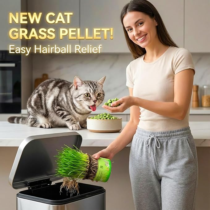 60g/2.12oz Cat Toy Cats Grass Treats, Fish Oil Kitten Grass Catnip Stick for Hairball Removal Teeth Cleaning Cats Edible Freeze Dried Kitty Lickable Chew Dental Snack for Indoor Kitty Food