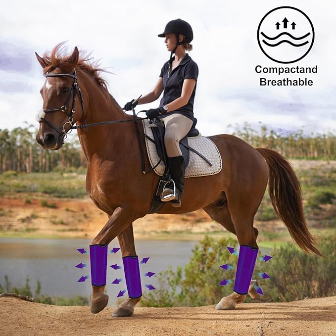 FOXLVDA Horse Fly Boots - Fly Boots for Horses Set of 4, Comfortable Horse Leggings, Mesh Material Design with Metal Support Bars for Reduces Stomping & Leg Fatigue (Purple, Medium)