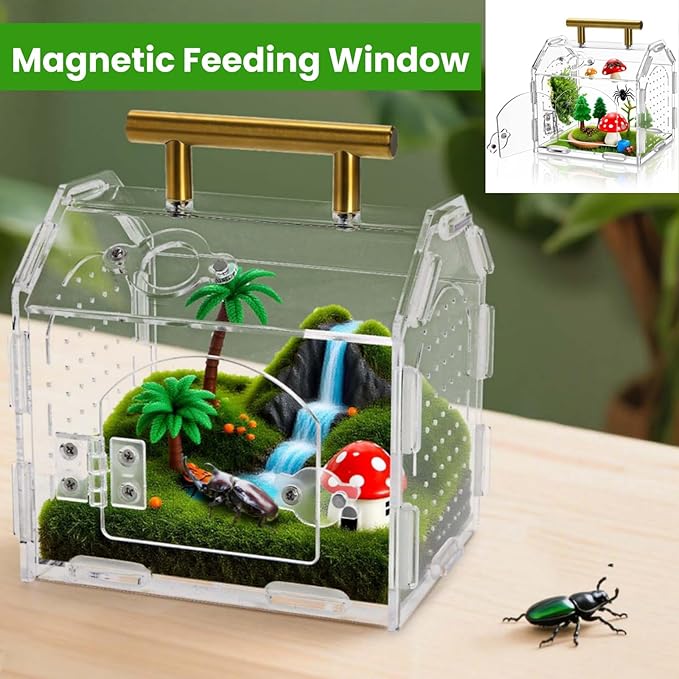 Jumping Spider Enclosure with Handle, Acrylic Reptile Habitat with One-Click Magnetic Closure, Front Opening Small Terrarium with Ventilation Holes for Tarantulas, Frogs, Gecko, Mantis