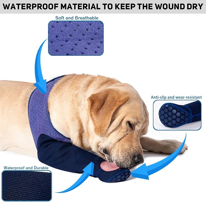 COODEO Dog Socks to Prevent Licking Paws, Healing Boots & Paw Protectors with Non-Slip Bottoms for Wound Protection, Waterproof Sleeve Shoes for Licking（Purple，M_Right