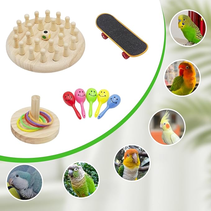 4-in-1 Bird Activity Set – Mini Skateboard, Stacking Rings, Rattle & Colorful Peg Toy | Interactive Toys for Budgies, Cockatiels, Lovebirds & Small Parrots
