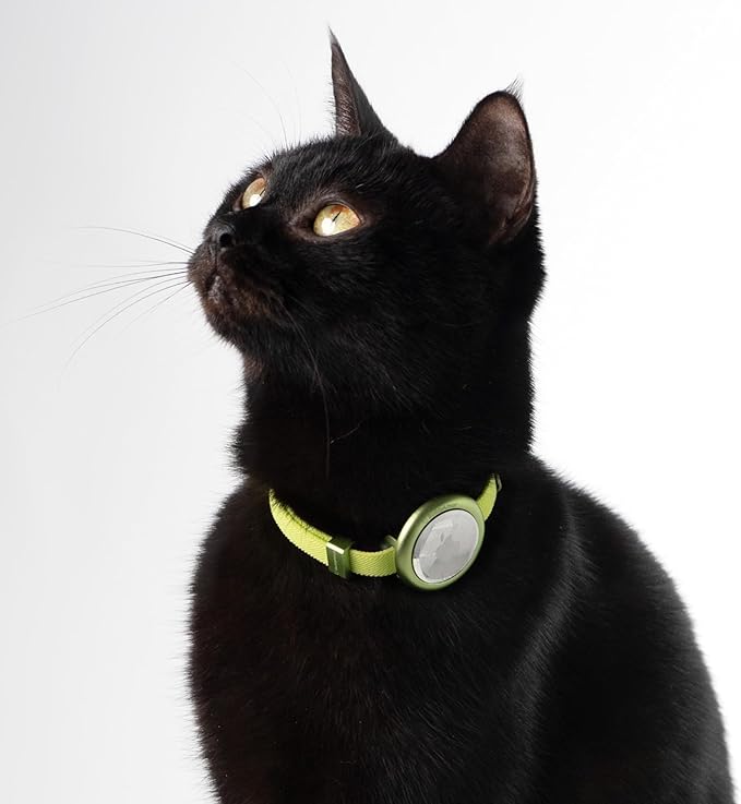 Safety Cat Collar Pro - U.S. IDA Gold Awarding Design, Elastic Quick Release Cat Collar with Buckle Non Breakaway - Lightweight for Kitten All Small Large Cats (Midnight Black, M 7.9-15.7")