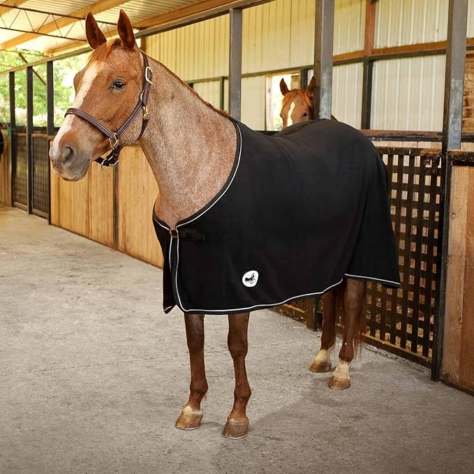 Jeffers Equine Elite Fleece Horse Cooler Blanket, 81 Inch – Soft, Adjustable Fit, Lightweight, Easy Care, Moisture Wicking Cooling Sheet with Surcingle for Post Exercise, Travel for Horses – Black