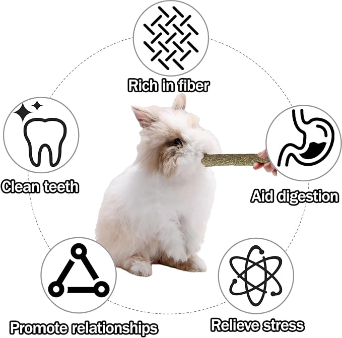 300g Rabbit Chew Toys,Apple Wood Sticks with Sweet Bamboo,Grass Rolls for Guinea Pigs Teeth Care Hamster Hedgehog (0.66lb)
