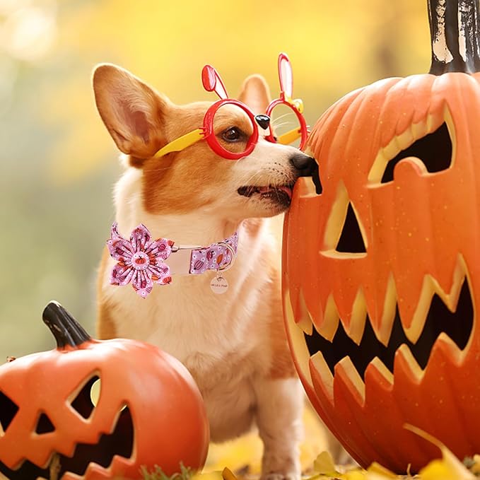 Halloween Pumpkin Dog Collar with Flower, Pink Halloween Puppy Flower Collar with Adjustable Metal Buckle,Fancy Halloween Dog Collar Bowtie Gift for Girl Boy Dog,XL