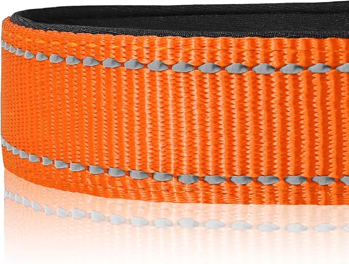 Joytale Reflective Dog Collar, Soft Neoprene Padded, Metal D-Ring, Nylon Pet Collar Adjustable for Medium Dogs, Orange, M
