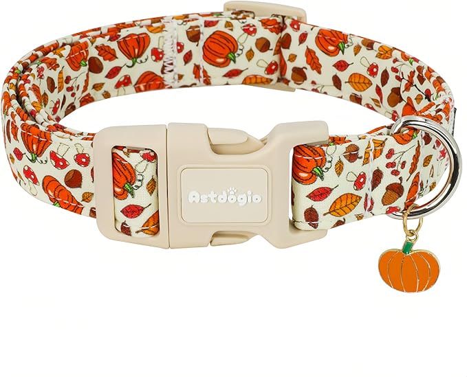 Fall Dog Collar – Halloween & Thanksgiving Dog Collars for Medium Dogs – Soft & Comfortable Autumn Puppy Collar with Quick Release Buckle, Medium Dog Collars for Girl Boy Dogs-M ﻿