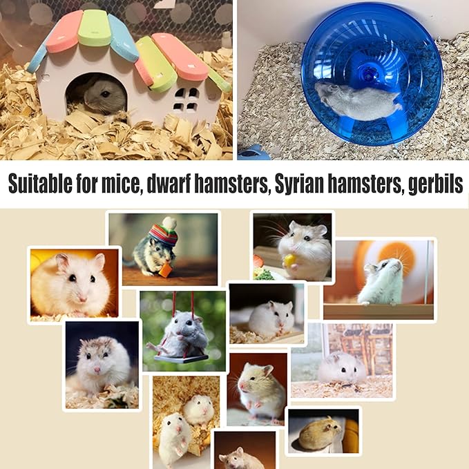 Hamiledyi Hamsters Flying Saucer Silent Mouse Wheel Small Gerbil Running Exercise Toy Kit with Rainbow House Seesaw Grass Cake Sweet Bamboo Snacks for Dwarf Mice 10 Pcs