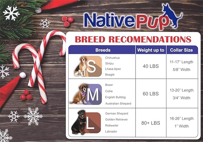 Native Pup Christmas Dog Collar- Winter Holiday Collars for Pets- Xmas Gift for Puppy- Santa, Reindeer, Snowman, Candy Cane, Red Green- Girl Boy- Small, Medium, Large Breeds (Green Snowflake, Large)