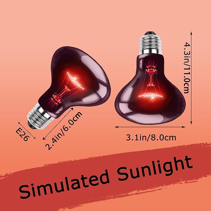 60W Infrared Red Heat Lamp – Basking Spot Bulb for Reptiles, Bearded Dragons, Chameleons, Snakes & Lizards; Ideal Red Heat Emitter for Chickens Coop and Brooder Use, E26 Base | 2 Pack