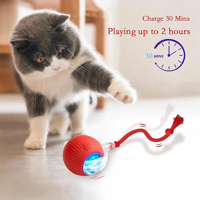 Automatic Interactive Rolling Cats Dog Toys Ball for Indoor- Rechargeable Activate Cat Dog Pet Toy for Indoor, Self-Playing Automatic Moving Kitten Toys for Cats, Durable and Safe Material (Red)