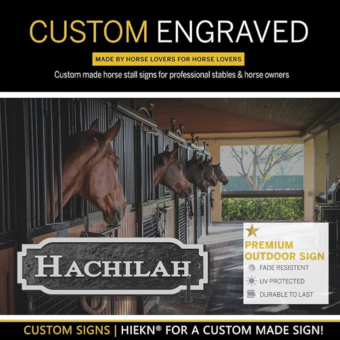 Acrylic Horse Stall Name Plate, 2.4" x 8" Personalized Stall Signs, UV Protected, Custom Pet Name Sign, All Weather Adhesive, Mounting (Silver, Style 2)