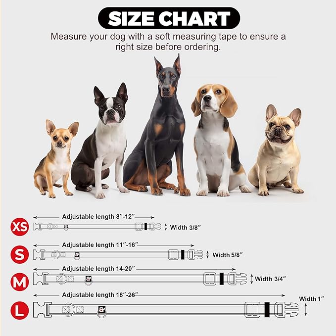 azuza Reflective Dog Collar, Soft Neoprene Padded Pet Collar with ID Tag Ring, Adjustable for Large Dogs,Orange,L