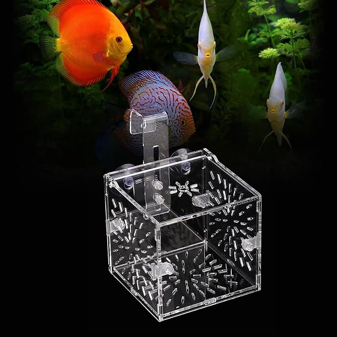 Acrylic Transparent Fish Tank, Breeding Isolation Box Aquarium Hatchery Incubator Holder with Screw Reinforcement, Convenient Use Comes with Isolation Board for Fish Breeding