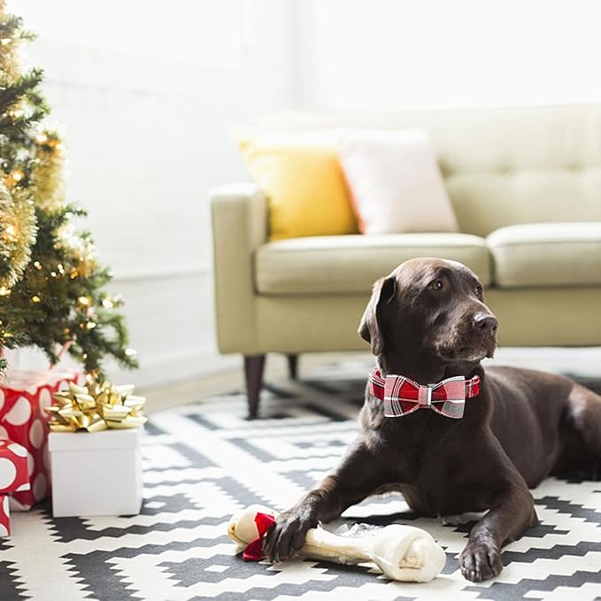 Dog Collar, Christmas Dog Collar Plaid Pet Collar Bow Holiday Bows Girl Boy Puppy Collar Adjustable Pet Collar for X-Small Dogs