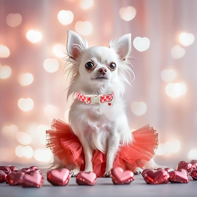 Valentines Dog Collar for Small Dogs - Valentine Red Conversation Hearts Dog Collars, Love Boy Girl Dogs Collars, Lightweight Adjustable Cute Puppy Collar with Quick-Release Buckle S