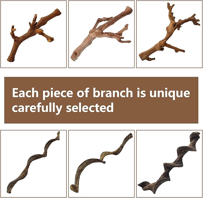 BNOSDM 2PCS Reptile Wood Branches, Snake Climbing Branch, Bearded Dragon Climbing Accessories, Lizard Habitat Decor, Terrarium Tree Trunk Ornament for Gecko Frog Chameleon Spider