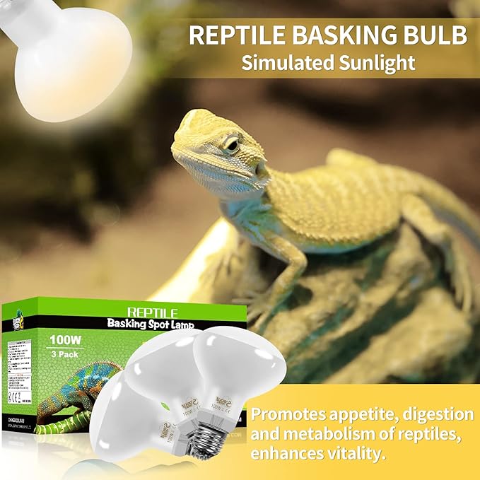 LUCKY HERP New Upgrade 3 Pack 100W Reptile Heat Lamp Bulb (3nd Gen, Safer), Amphibian UVA Heat Light Bulb, Reptile Basking Daylight Spot Lamp Bulb for Bearded Dragon, Lizard, Tortoise Heating Use