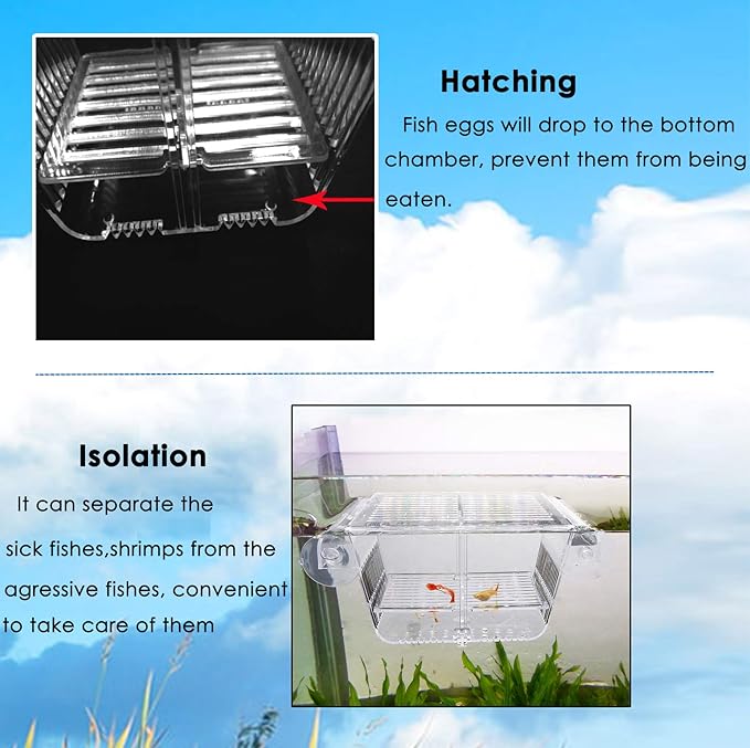 Cepetsma Fish Breeder Box - Hang-on Nursery Fish Tank With Breeding Hatchery, Perf for Aggressive & Injured Species