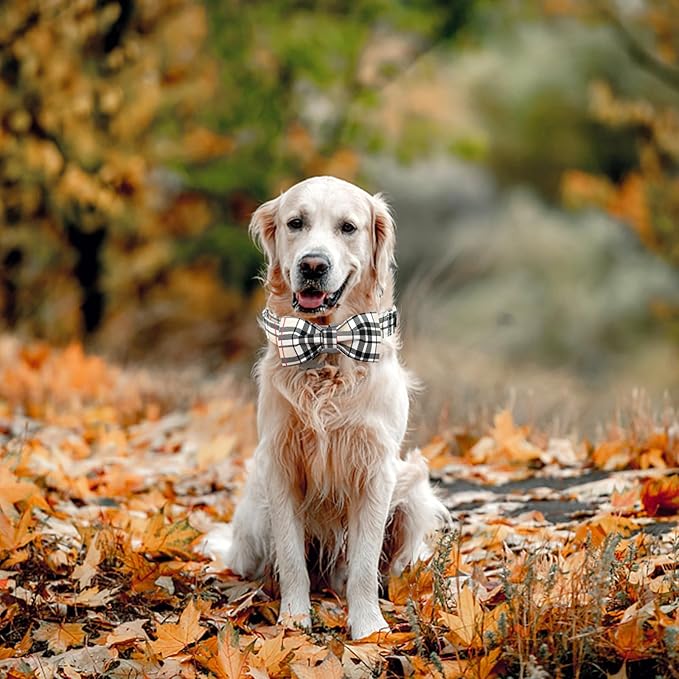 Dog Collar- Plaid Pet Collar Cute Pet Bow Soft Girl or Boy Dog Collars with Metal Buckle Adjustable Collar Cotton Comfortable Pet Collars for X-Small Puppies