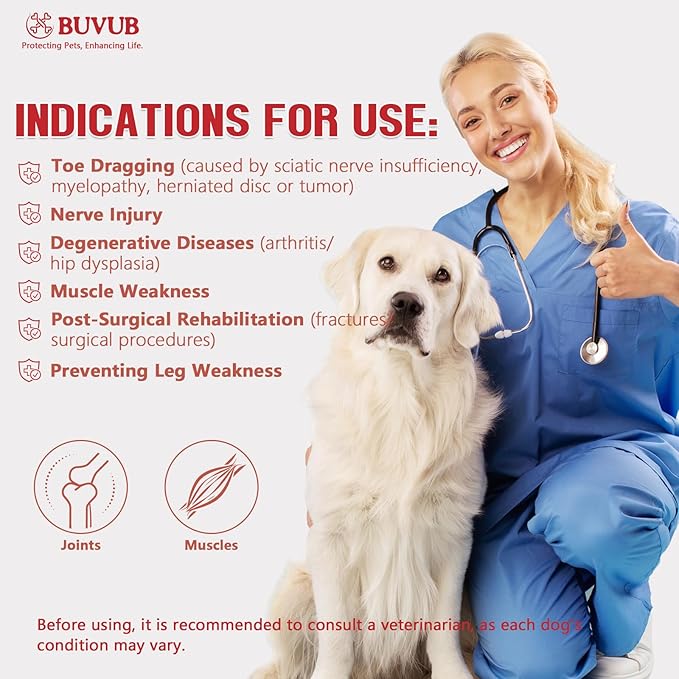 Dog Canine Knuckling Brace Rear Leg Dog Foot Brace Wrap for Toe Dragging Cause by Sciatic Nerve Insufficiency, Myelopathy, Herniated Disc (XLarge)