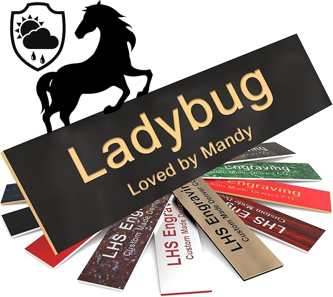 Personalized Horse Stall Name Plates, 2x6 Horse Stall Signs with Adhesive, All Weather UV Protected, Black Plastic Gold Letters - Made in USA - B3