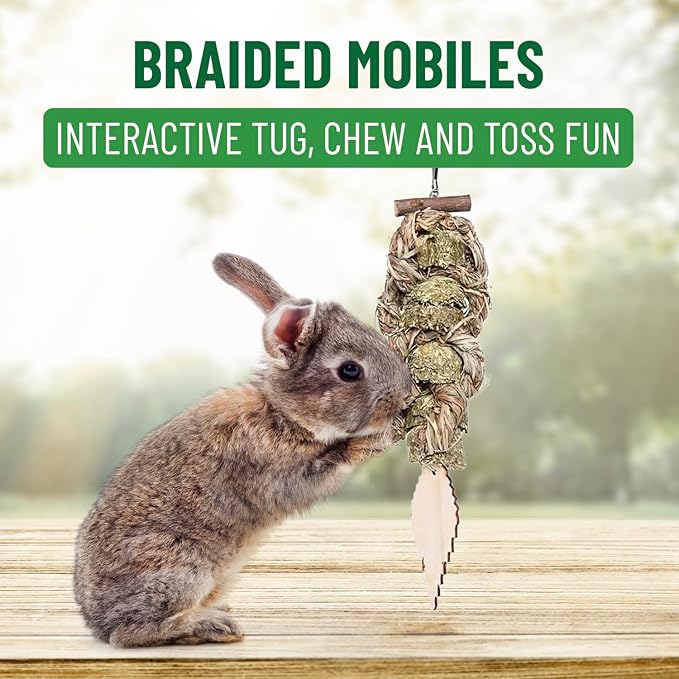 Small Pet Select - Tiny Paws Willow Play Pack, Natural Toys and Chews for Rabbits, Guinea Pigs, and Other Small Animals