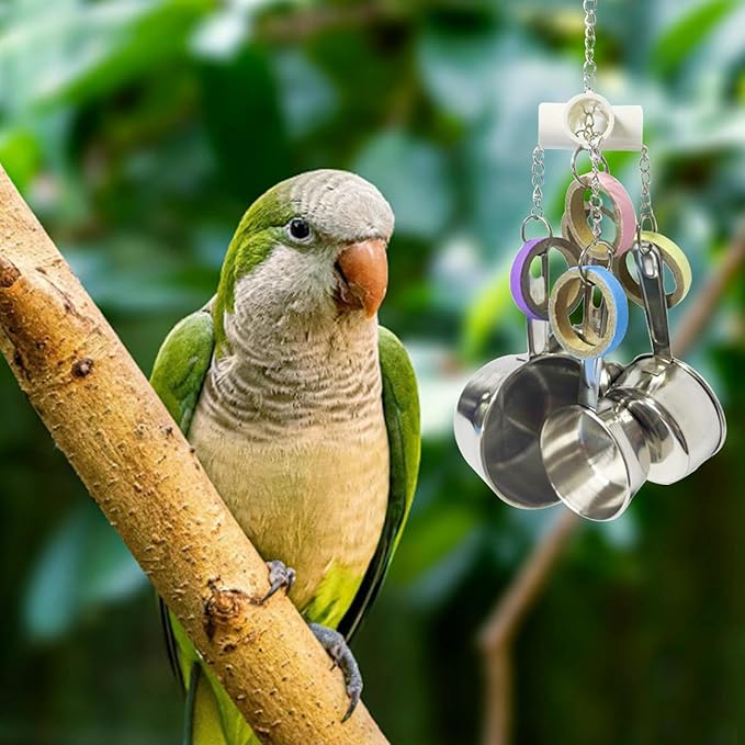 LWINGFLYER Stainless Steel Parrot Toys, Pullable Stainless Steel Cup and Cardboard Ring Toys Hanging Chew Bird Toys for Large Parrots，African Grey, Amazon Parrots