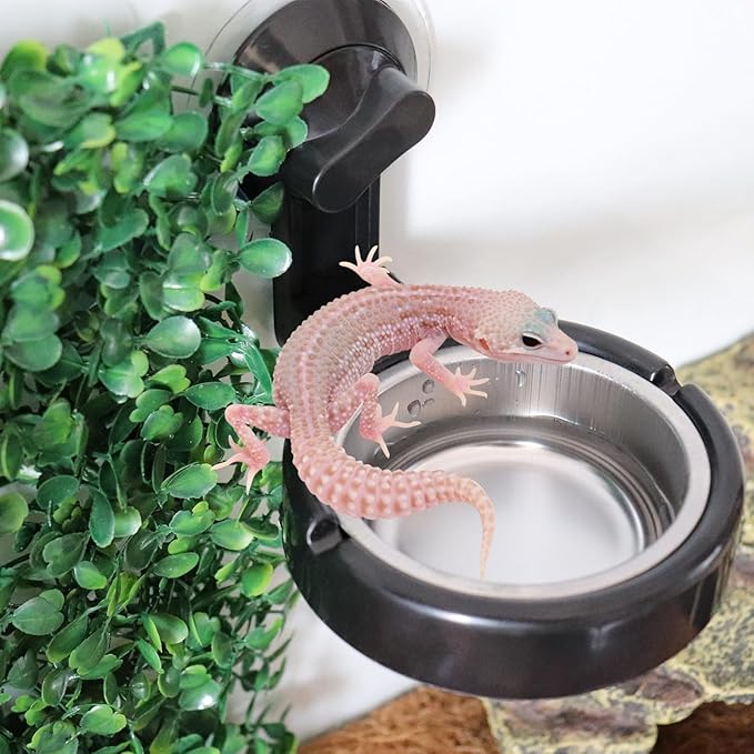 Small Animals Feeding Tray with Sucker, Reptile Feeding Cup, Reptile Food and Water Bowl, Single Bowl Reptile Food Dish with Powerful Suction Cup