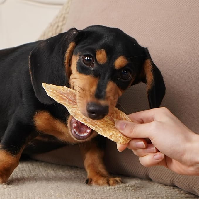 MON2SUN Dog Treats Chicken Jerky, Single-Ingredient, Rawhide-Free, High Protein, Low Fat, Training Treats for Small to Large Dogs, 21.2 oz