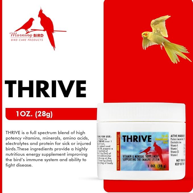 Morning Bird Thrive 1 Oz - Multi-Vitamin Bird Supplement Designed for Immune and Recovery Support - Formulated for Sick or Injured Birds - Protein Supplement and Energy Booster for All Adult Birds